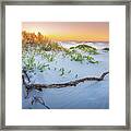 Florida Sunrise Driftwood Gulf Islands National Seashore Framed Print