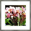 Flower Bunch Framed Print