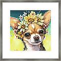 Flower Girl Chihuahua Framed Print