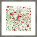 Pops Of Red Daisies Framed Print