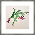 Flowering Cactus Framed Print