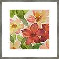 Flowers And Leaves Framed Print