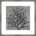 Flowers Beneath The Autumn Tree Black And White Framed Print