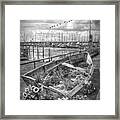 Flowers In A Rowboat In Black And White Framed Print