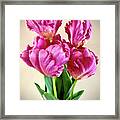 Flowers In Vase Framed Print