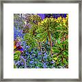 Flowers Outside My Gallery Framed Print