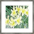 Flowers.first Frost Framed Print