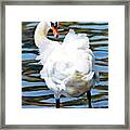 Fluffy Swan    Digital Painting Framed Print