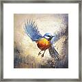 Fly Little Bluebird Framed Print