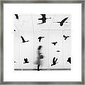 Fly With Us #3 Framed Print