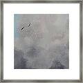 Flying Away Framed Print