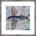 Flying Fish Framed Print