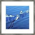 Flying White Egret Framed Print