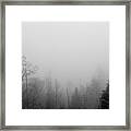 Fog At Clingman's Dome_005 Framed Print