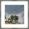 Foggy Background On Grouse Mountain Framed Print