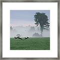 Foggy Fawns Framed Print