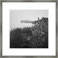 Foggy Morning Taunton River  Ix Bw Framed Print