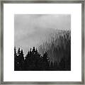 Foggy Mountain Forest Framed Print