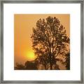 Foggy Pocosin Sunrise 6683 Framed Print