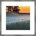 Foggy Sunrise Framed Print