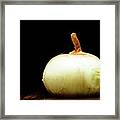 Food Photography - Onion Framed Print