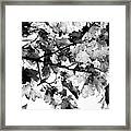 Forest Abstraction Framed Print