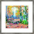 Forest Enchantment Framed Print