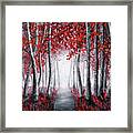 Forest Of Wonder Framed Print