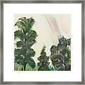 Forest Rainbow Framed Print