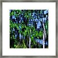 Forest Reflections Framed Print