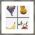 Four Colorful Fruits Framed Print