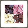 Four Types Of Chocolate Framed Print