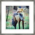 Fox In Watercolor Framed Print