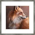 The Red Fox Framed Print