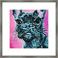 Frenchie Framed Print