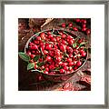 Fresh Rose Hips In A Bowl On A Table Framed Print