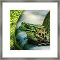 Frog Hollow Framed Print