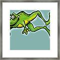 Frog Framed Print