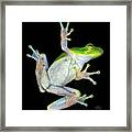 Froggy Went A' Cortin' Framed Print