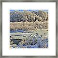 Frost Along The Creek - Panorama Framed Print