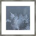 Frost And Ice Abstract Framed Print