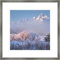 Frosted And Falling Framed Print