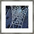 Frosted Web Framed Print