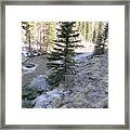 Frosty Colorado Mountaun Stream Framed Print