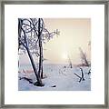 Frosty Covered Trees Framed Print