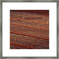 Frosty Floorboards Framed Print