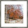 Frosty Lane And Autumn Trees Scottish Borders Framed Print