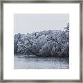 Frosty Trees By The Water Framed Print