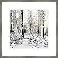 Frozen English Woodland Covered In Snow Framed Print