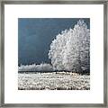 Frozen Forest Edge, Borrowdale Framed Print